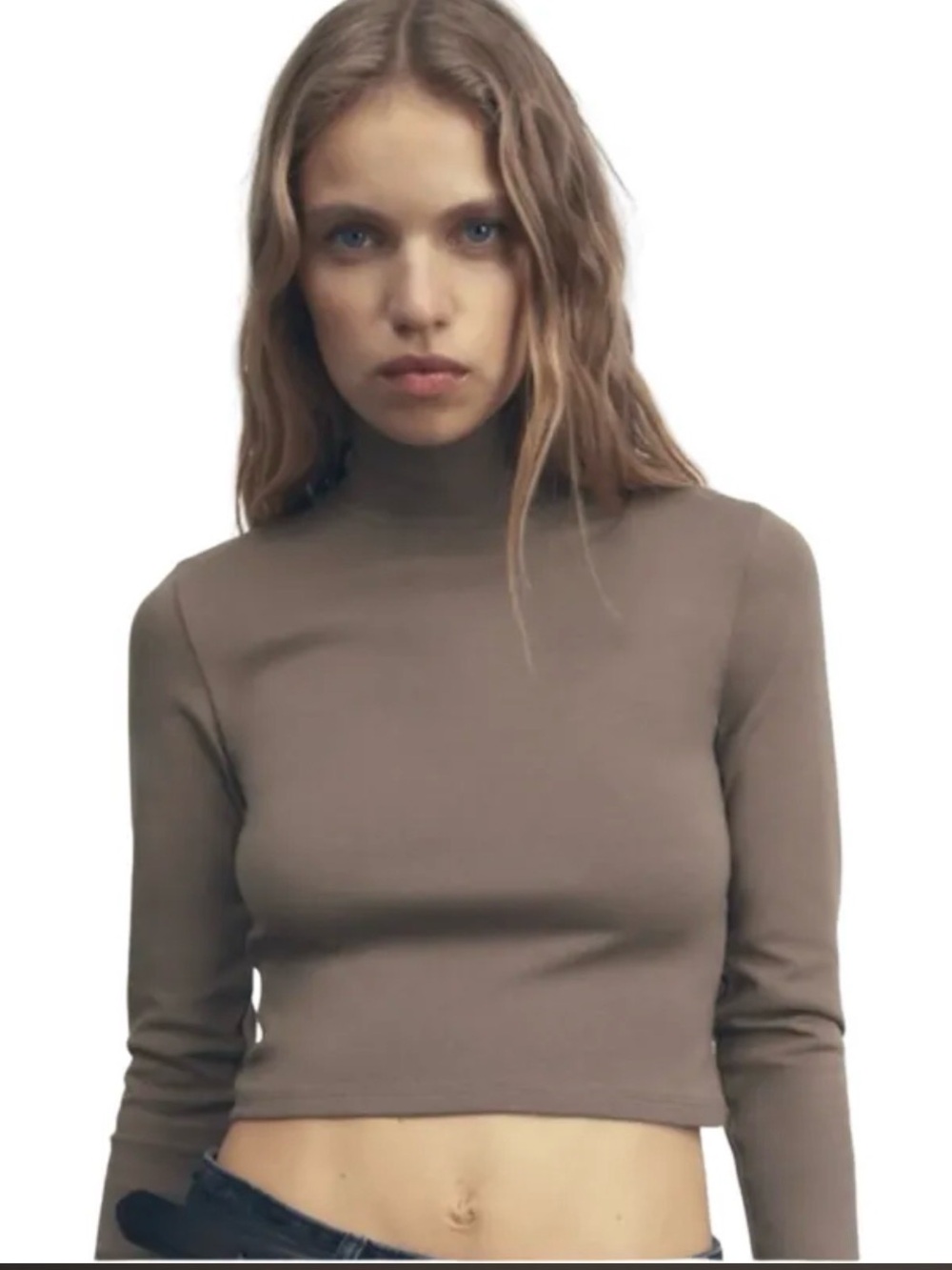 Zara Taupe Mock Neck Long Sleeve Crop Top